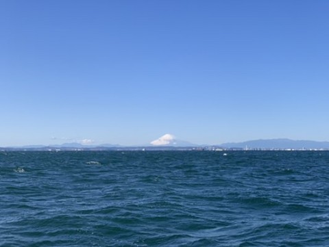 mu4cizxtnmtemffyumio_480_361-d93a99d1.jpg