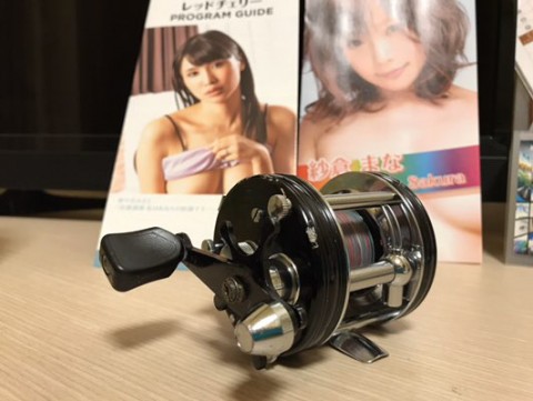 mu6gphxhsg97tumg3sdb_480_361-f60b6435.jpg