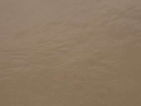 mu9zp6vrwf38yxv7gyhg_480_480-e0b79ac0.jpg