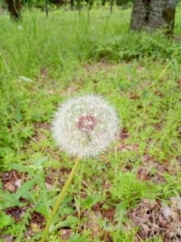 muddgjbwzkwkoewfmgtv_480_480-dd9ff955.jpg