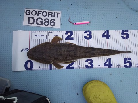 muiujmv7f9jogbsfgkum_480_480-b264a82d.jpg