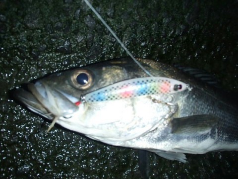 muixvvxysyreeg7sd6nc_640_480-12becfe4.jpg