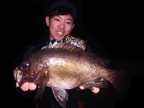muwa4wpwmaf7nka6koc4_480_480-a74e3679.jpg