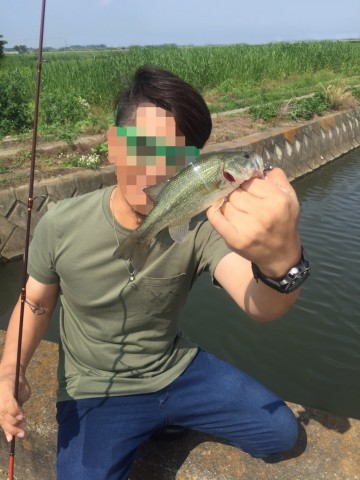 muwkoief4uruxjk49j3u_480_480-d1f76bbe.jpg