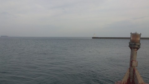 mv89dvt7r6mkwe2dysur_920_518-87aa79ed.jpg