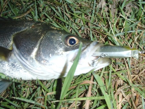 mvakm32ufcjcmgueu64v_920_690-08d0d6b2.jpg
