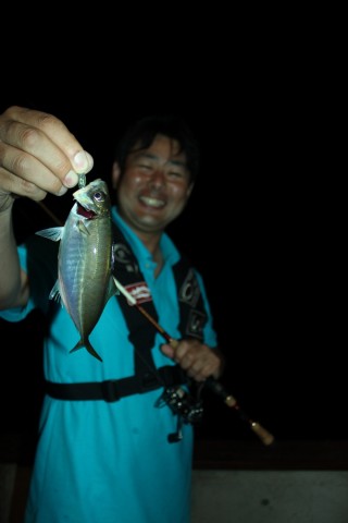 mvat4462pn6oe9zkzrsm_480_480-e15f592c.jpg