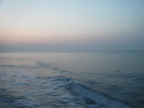 mw2k94fma79ghdf9h2nn_480_480-f690fdb2.jpg
