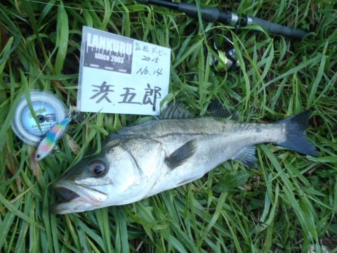 mw49yr8uo5w9t7omiah6_480_480-421ec277.jpg