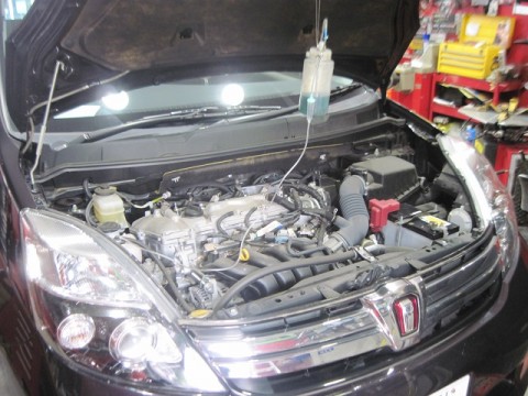 mw7ia6dtjkaswnx25khx_480_480-96ef7247.jpg