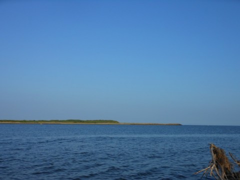mw86doxufjimfywdjz2b_480_480-9952817d.jpg