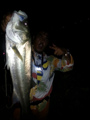 mweadiwgeohvowccm64o_480_480-101dee81.jpg