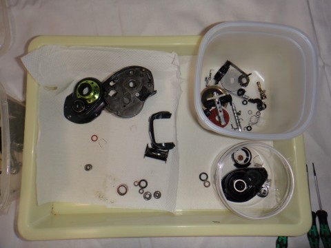 mwirsumxjpbwoanx8ks3_480_480-4d2c7156.jpg