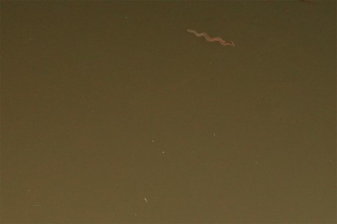 mwsjc8vcvt6a9hoafg4z_480_480-ecfbcede.jpg