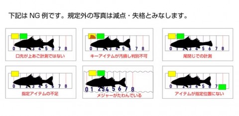 mxmtv2okjb9v8hf8nye7_480_480-a9f4adc8.jpg