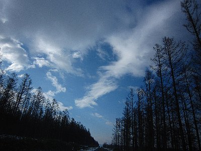 mxmztz4p95cmcjdk9hxb-180b3aed.jpg