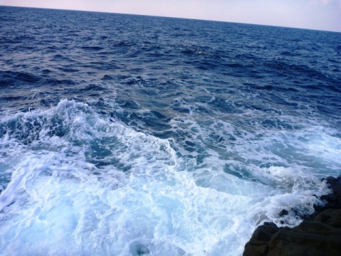 mxpix9afdyvj4f4vz5db_480_480-53888b70.jpg