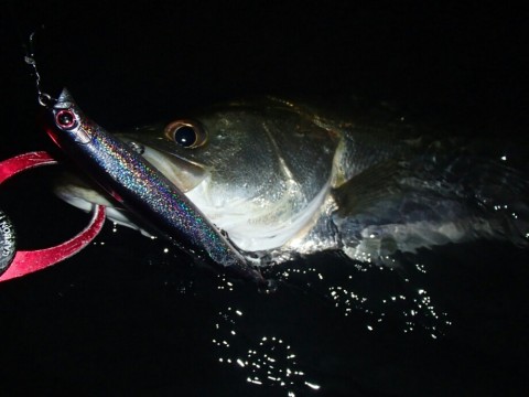 mxuiayor6fp6oxcjug2f_920_690-f0b9e931.jpg