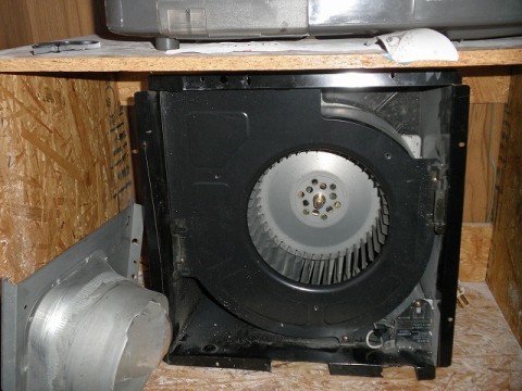 mxx58opjap5jh9eu3cb3_480_480-b4255825.jpg
