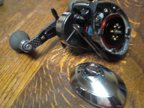mxyp6zf8n265st85fx8b_480_480-bd6251b5.jpg