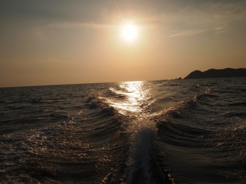 mydgfafrc95wsjswx5sn_480_480-1f05ac68.jpg