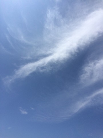 myunrury223z3ebiwc9o_690_920-8e58f731.jpg
