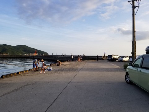 myv5ikao7jsmhepvnabp_480_480-b57234e7.jpg