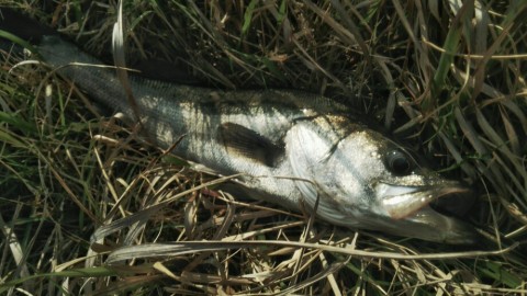mywoezcfbuir58rnvx82_920_518-dd0af979.jpg