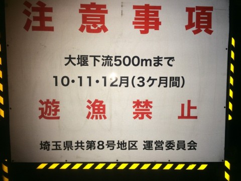 mz9j82k9t7icj2xzcu29_480_480-1488c6cb.jpg
