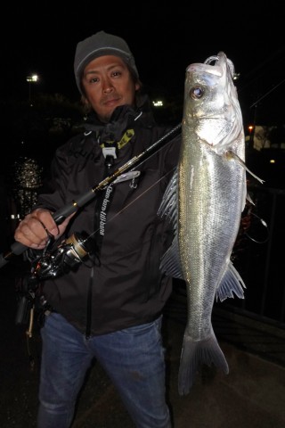 n22s65smazy7p6b34kzg_480_480-15952cdb.jpg