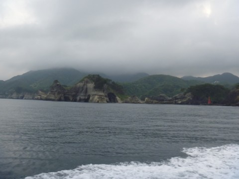n2v5ifbfn5rjr73nr6ab_480_480-9648868b.jpg