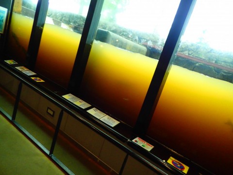 n35cuti3xwng3rbbxb6w_480_480-83387838.jpg