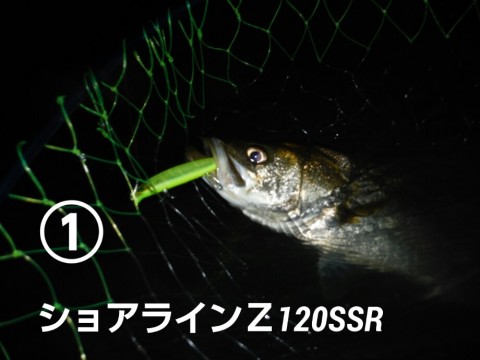 n36zu6njez26au8bhku3_920_690-4971a82d.jpg