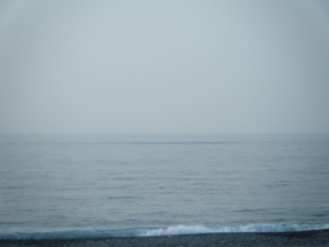 n3tr88kwo3dkn2ui9csg_480_480-6b809780.jpg