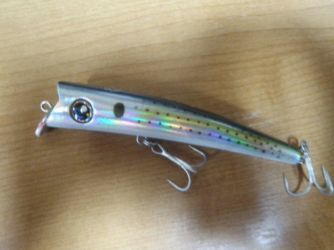 n48fn497kkvd6vhydhwi_480_480-81a48870.jpg