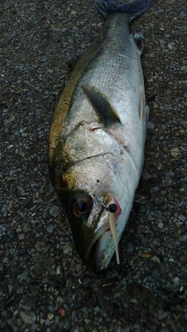 n4fu7fw3mbvda7mrapih_518_920-3df1e475.jpg
