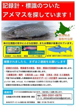 n4m7tjp9pepkufvmbpj3_339_480-c7cb13d5.jpg
