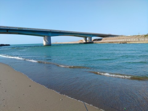 n4shjyjikzy43em32yn4_480_480-9969e907.jpg