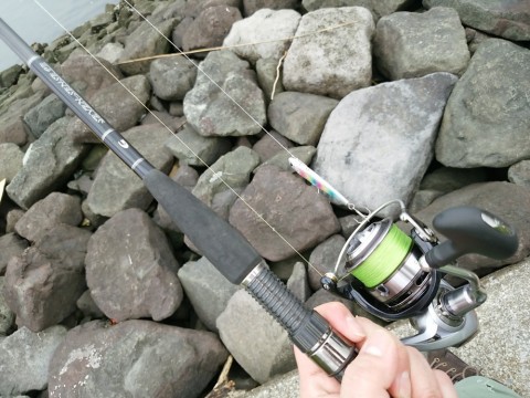 n5cob736vckksrirrx2r_480_480-3f9db759.jpg