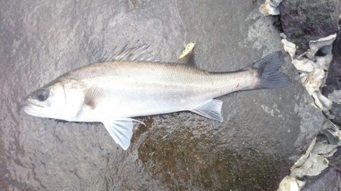 n5gcjfjaakkggai5c7w2_920_518-b6592649.jpg