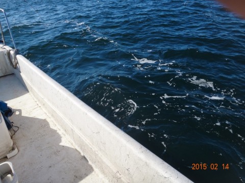 n5jpc3htztyb3mbmekgx_480_480-a34d585e.jpg