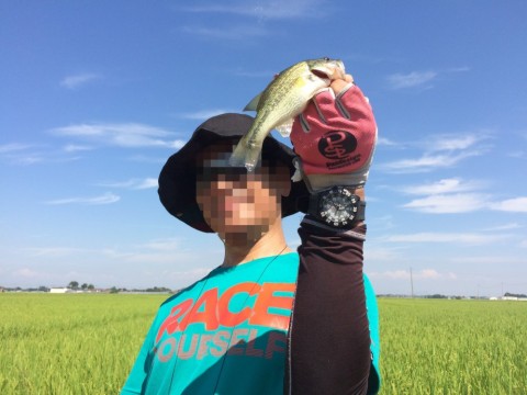 n6cbp9k6uycvzs2uojzs_480_480-2deacf00.jpg