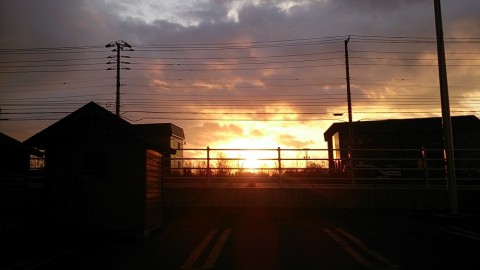 n6n7a6it5ehgvjoabwki_480_480-1ea819c0.jpg