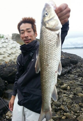 n6ngits7a9au8dp487ar_421_618-d205accf.jpg