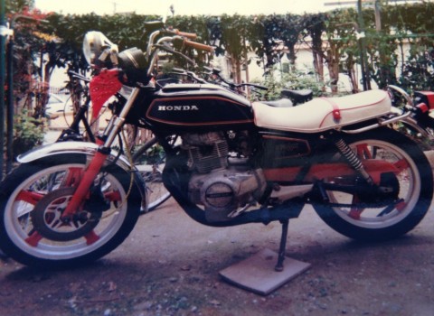 n6oxm9ysisfkar4vidi3_480_480-4ee17937.jpg