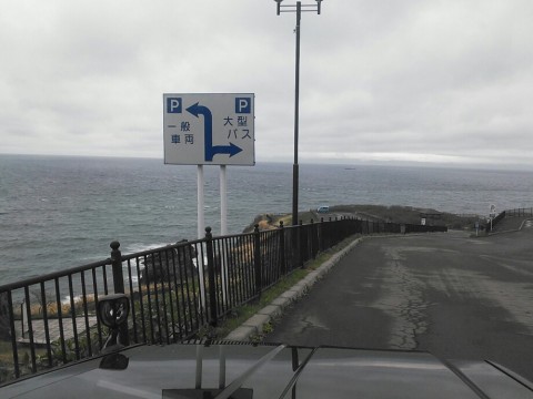 n6zj2bs7pynaogegfupg_920_690-f4b65911.jpg
