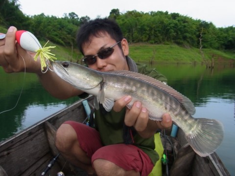 n755fivjwgytnjoobhoi_480_480-059df247.jpg