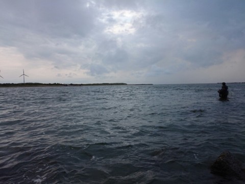 n79p5nngg7k6xok527ad_920_690-e3150bbb.jpg