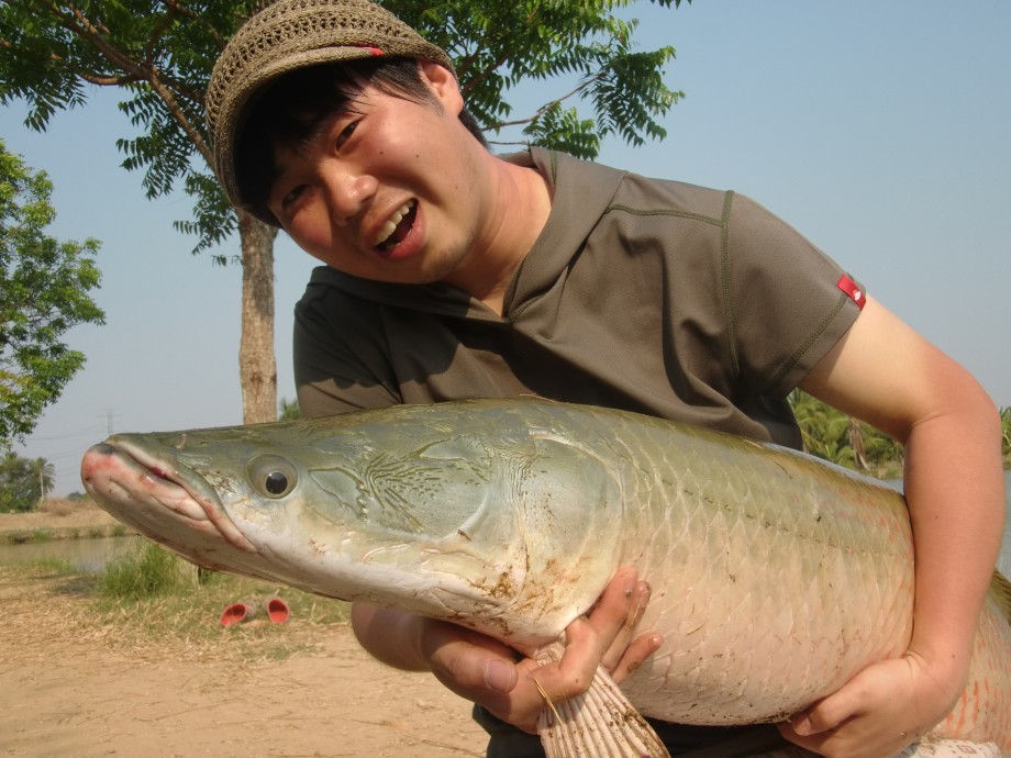 ツケログ タイ マレーシア釣旅 3 ピラルク釣りinアマゾンbkk ツケログ タイ マレーシア釣旅 3 ピラルク釣りinアマゾンbkk