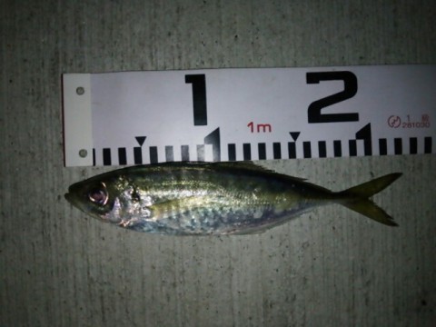 n7fotefof5mzf6xczp5a_640_480-21c2d787.jpg